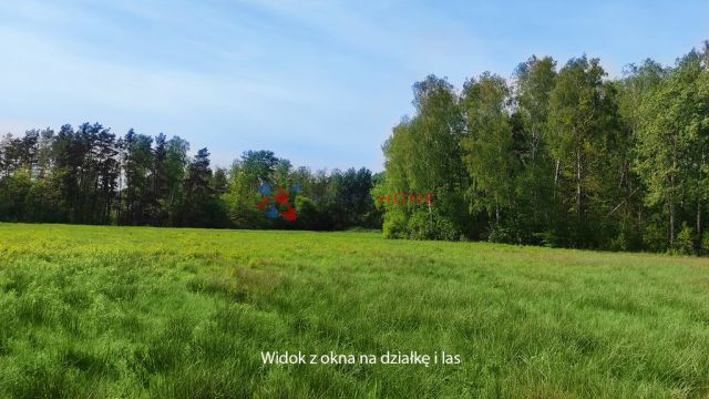 dom wolnostojący, 8 pokoi Stara Wieś. Zdjęcie 17
