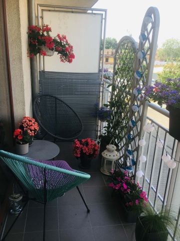 Mieszkanie 2-pokojowe Poznań Stare Miasto, ul. Szyperska. Zdjęcie 1