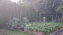 Działka rod Białystok, ul. Konstantego Ciołkowskiego. Zdjęcie 4