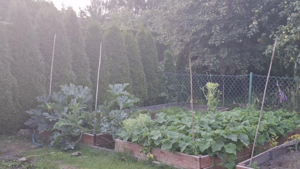 Działka rod Białystok, ul. Konstantego Ciołkowskiego. Zdjęcie 5