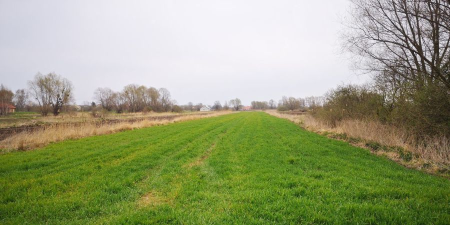 Działka inwestycyjna Gdańsk Orunia, ul. Żuławska. Zdjęcie 4