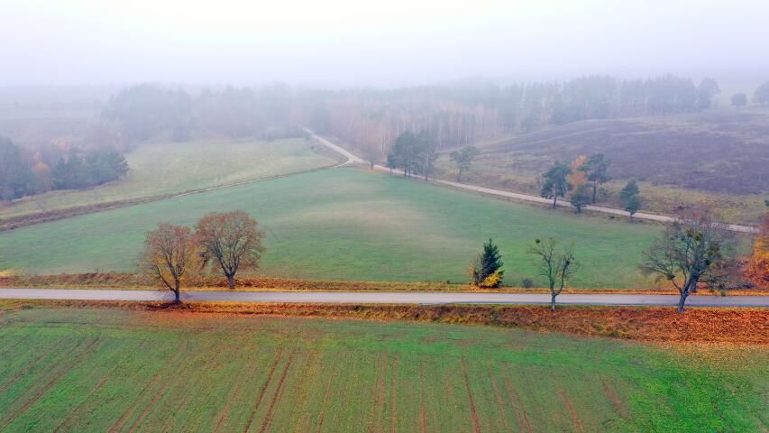 Działka rolna Dziubiele. Zdjęcie 9