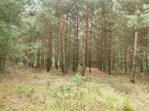 Działka Malanów. Zdjęcie 2