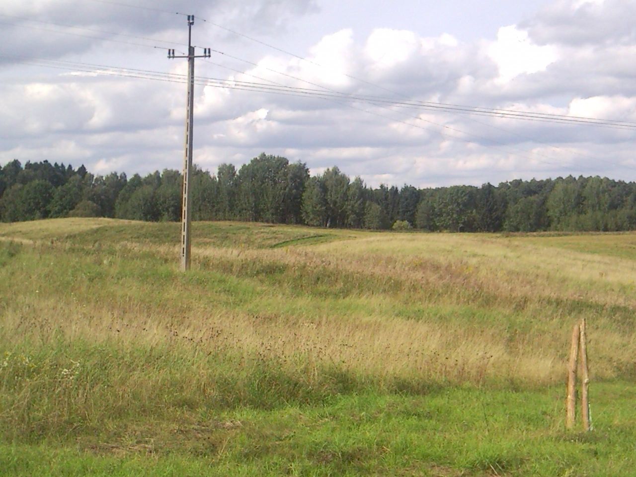 Działka rekreacyjna Stary Gieląd. Zdjęcie 2