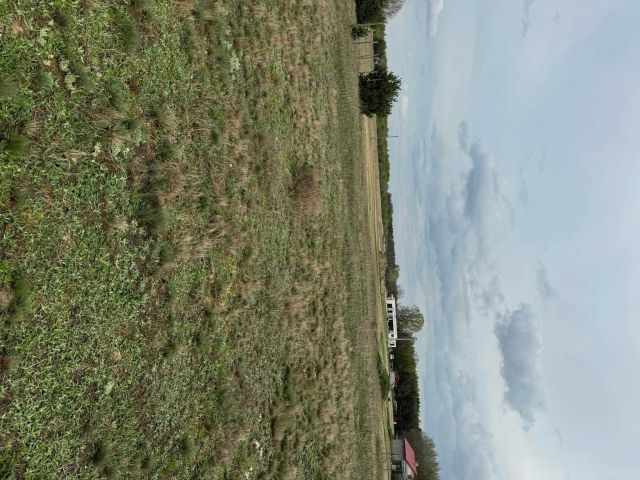 Działka budowlana Nasiegniewo. Zdjęcie 1