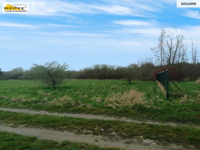 Działka rolna Niechorze. Zdjęcie 5