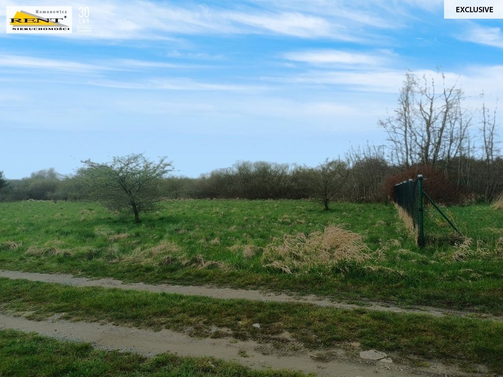 Działka rolna Niechorze. Zdjęcie 5