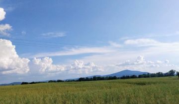 Działka budowlana Zachowice, ul. Różana