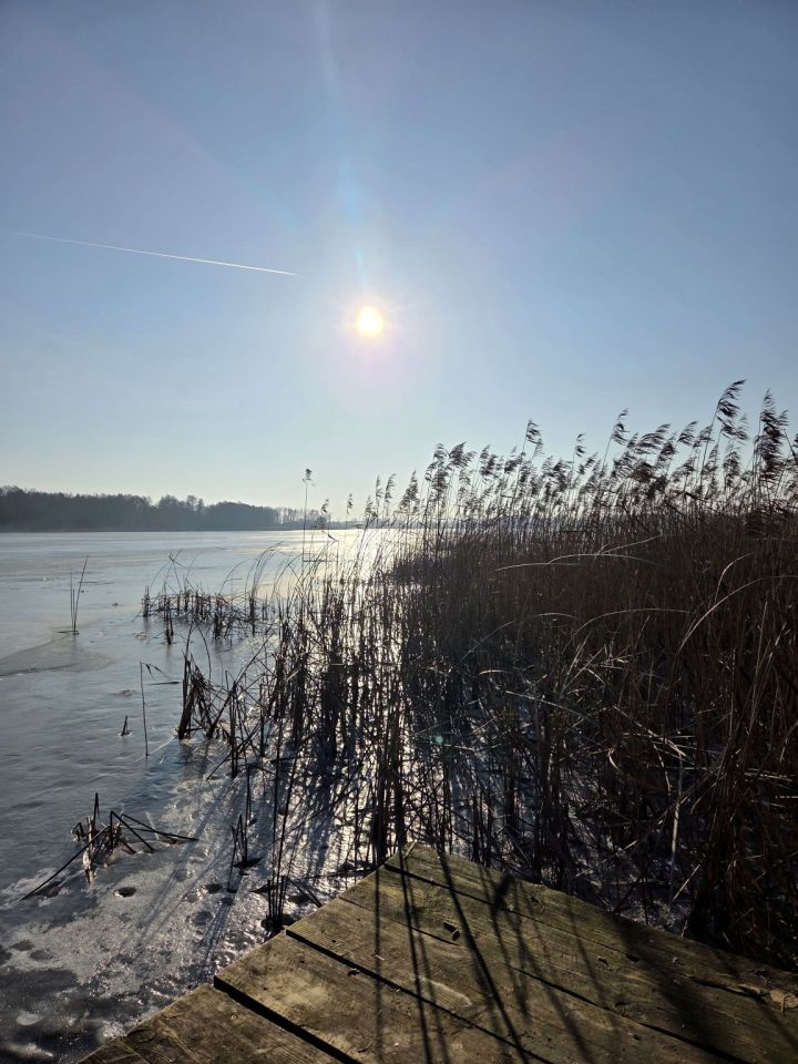 dom wolnostojący, 3 pokoje Szadzko. Zdjęcie 8