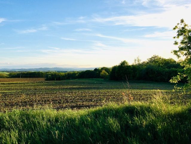 Działka budowlana Sławoszów. Zdjęcie 1