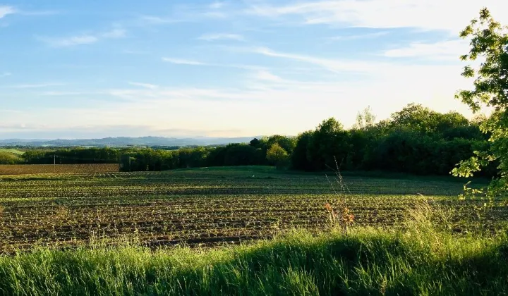 Działka budowlana Sławoszów