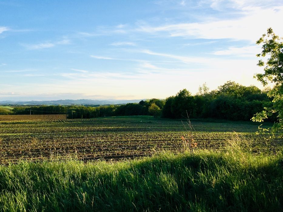 Działka budowlana Sławoszów. Zdjęcie 1