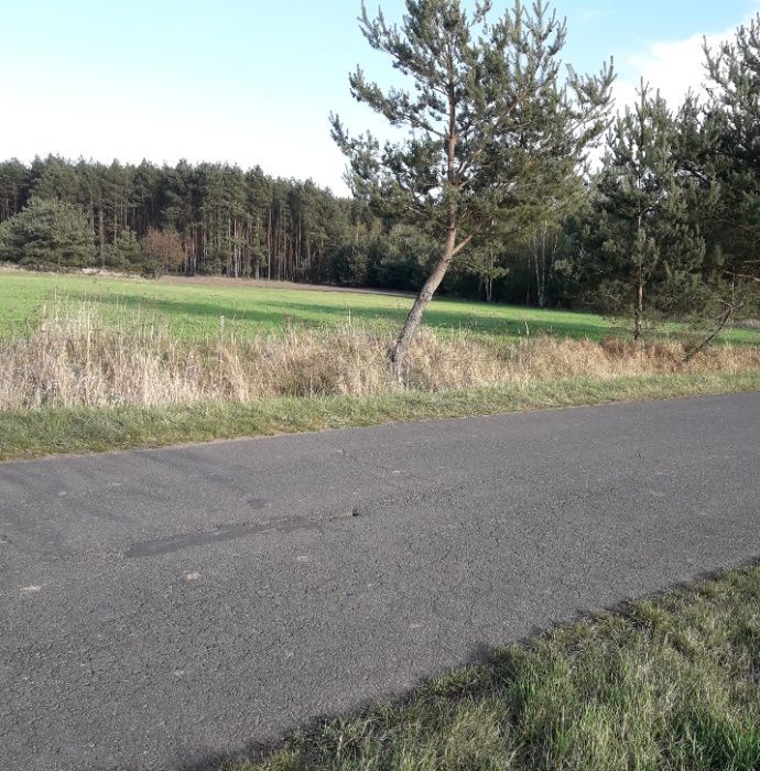 Działka rekreacyjna Tarchalice. Zdjęcie 2