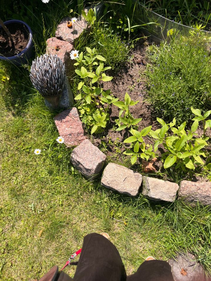 Działka rod Szczecin Pogodno, ul. Hieronima Derdowskiego. Zdjęcie 2