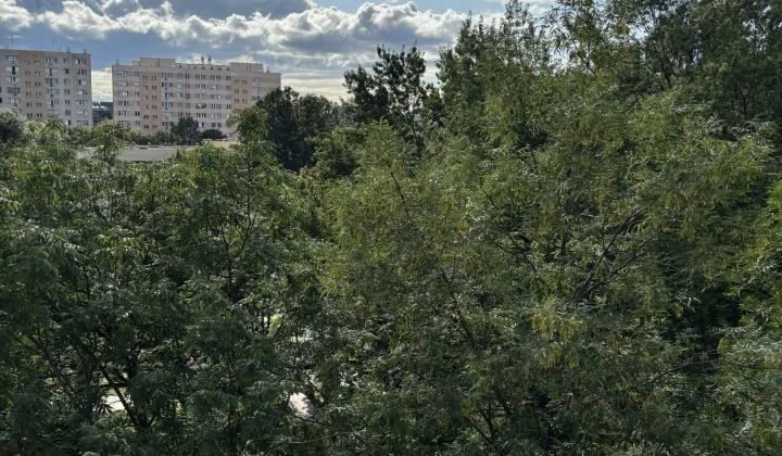 Mieszkanie 4-pokojowe Warszawa Dolny Mokotów, ul. Maltańska