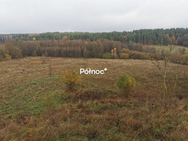 Działka Studzianki, ul. Polonijna. Zdjęcie 2