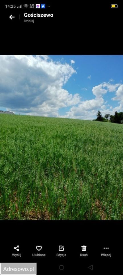 Działka rolna Koniecwałd. Zdjęcie 6