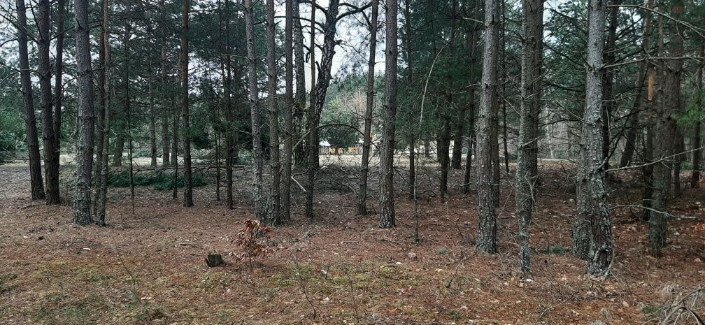 Działka rekreacyjna Radawa. Zdjęcie 3