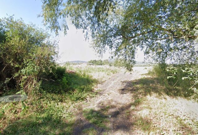 Działka rolna Stara Słupia. Zdjęcie 1