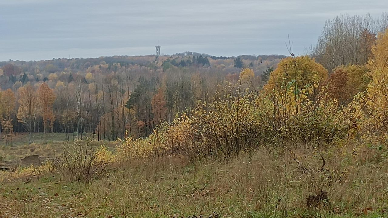 Działka rolna Ogrodno