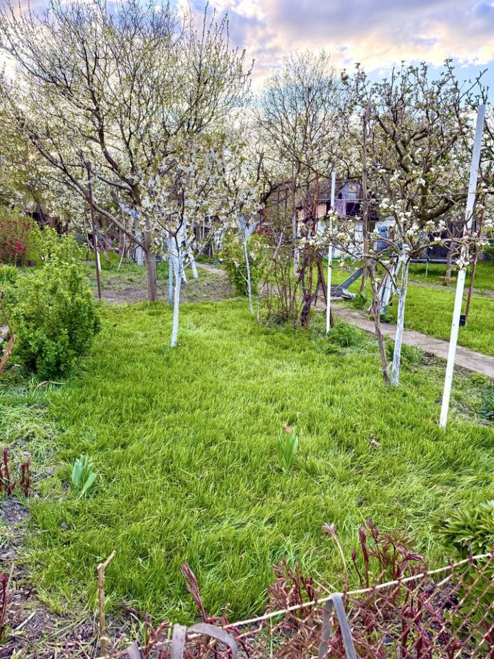 Działka rod Toruń, ul. Stanisława Przybyszewskiego. Zdjęcie 2