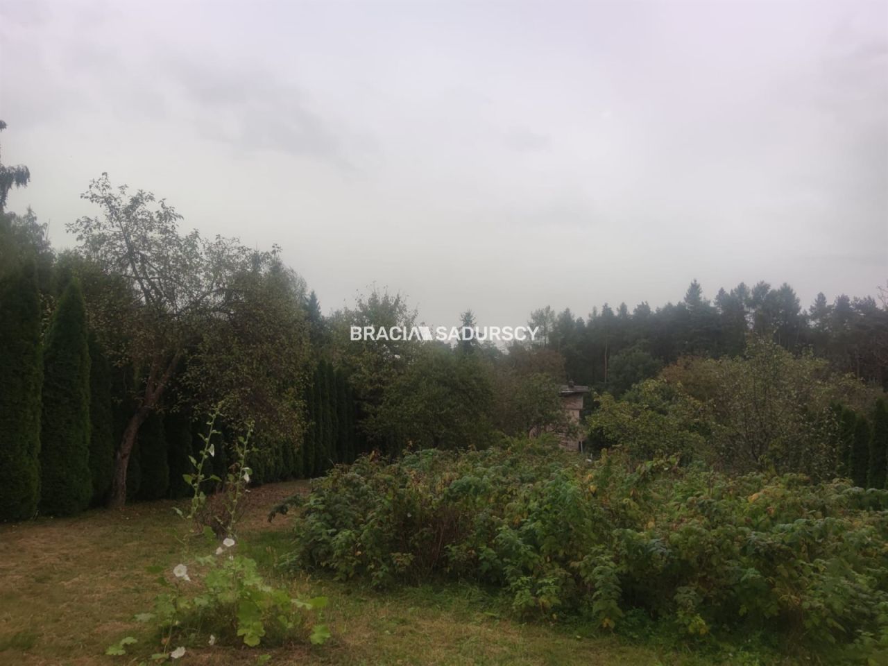 Działka budowlana Kryspinów, ul. Leśna. Zdjęcie 2