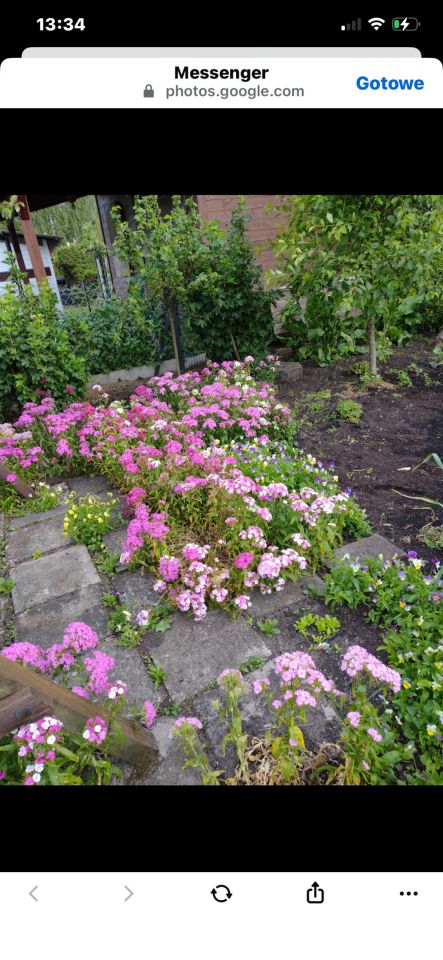 Działka rod Augustów, Przemysłowa. Zdjęcie 3