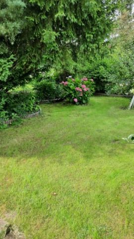 Działka rod Gdańsk Oliwa. Zdjęcie 1