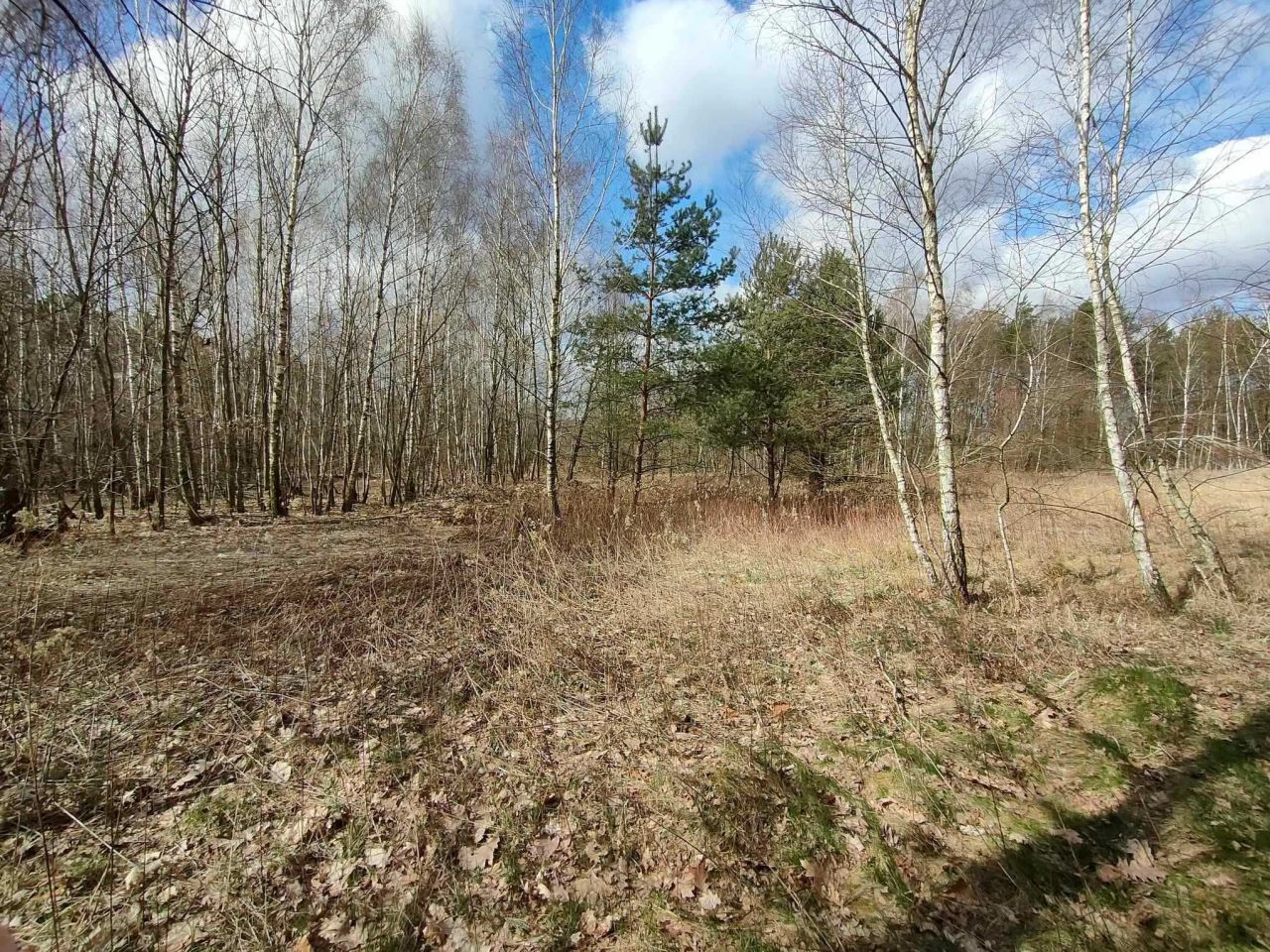 Działka budowlana Płock Tokary-Rąbież. Zdjęcie 4