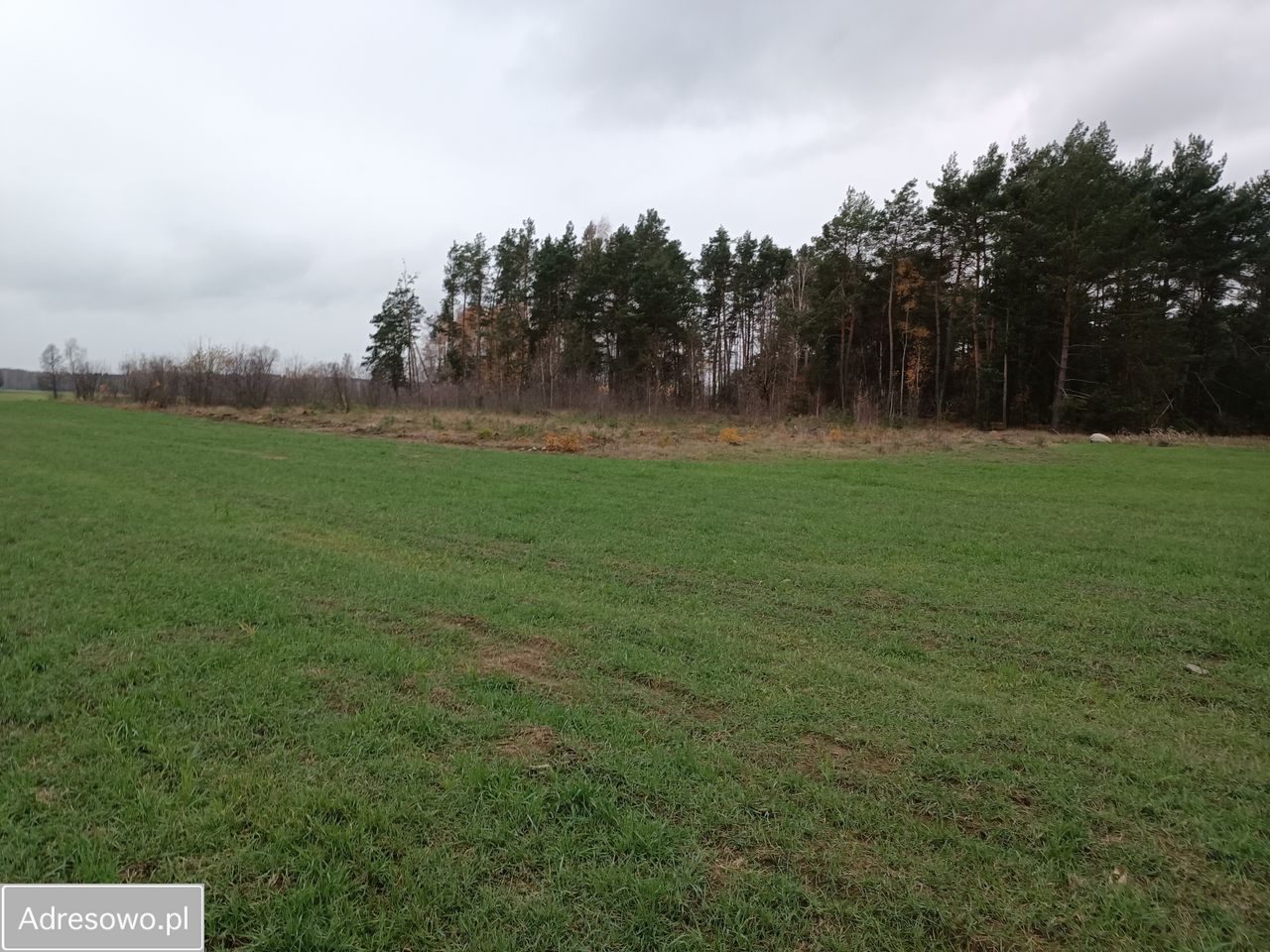 Działka rolna Filochy. Zdjęcie 6