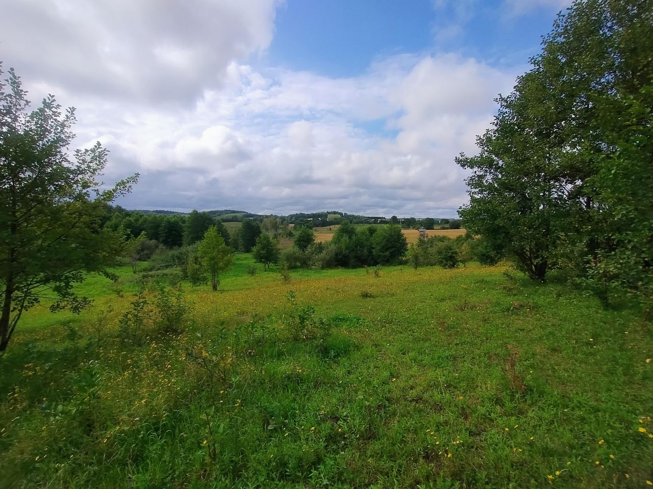 Działka rolna Stare Bolity. Zdjęcie 5