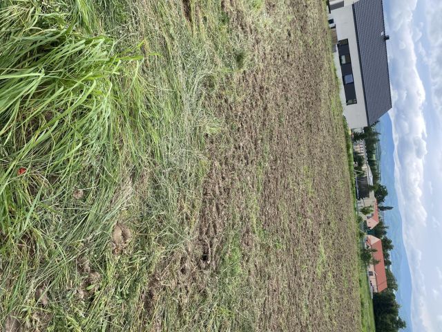 Działka budowlana Piława Dolna, ul. Wierzbowa. Zdjęcie 1