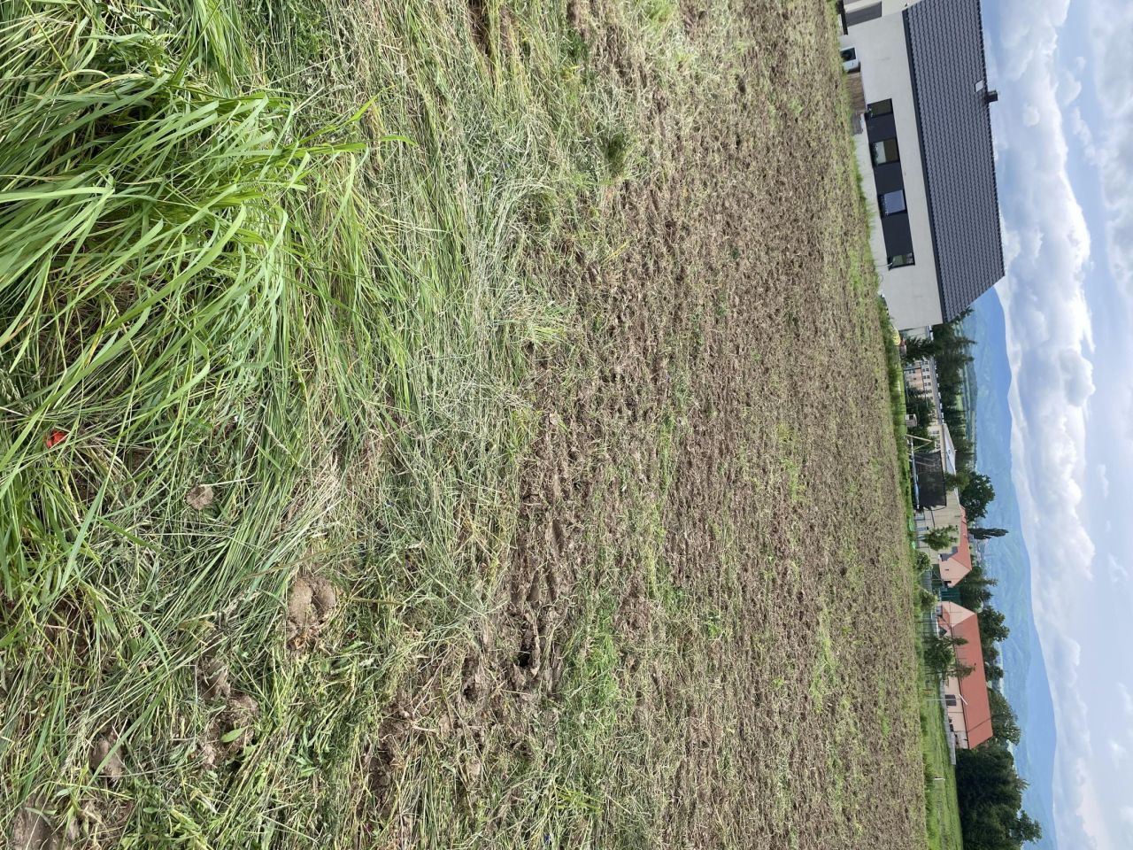 Działka budowlana Piława Dolna, ul. Wierzbowa