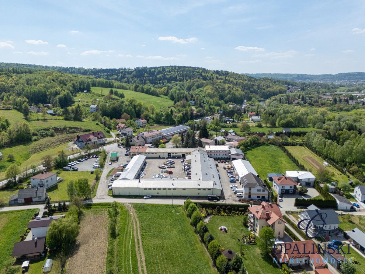 Lokal Lubenia. Zdjęcie 29