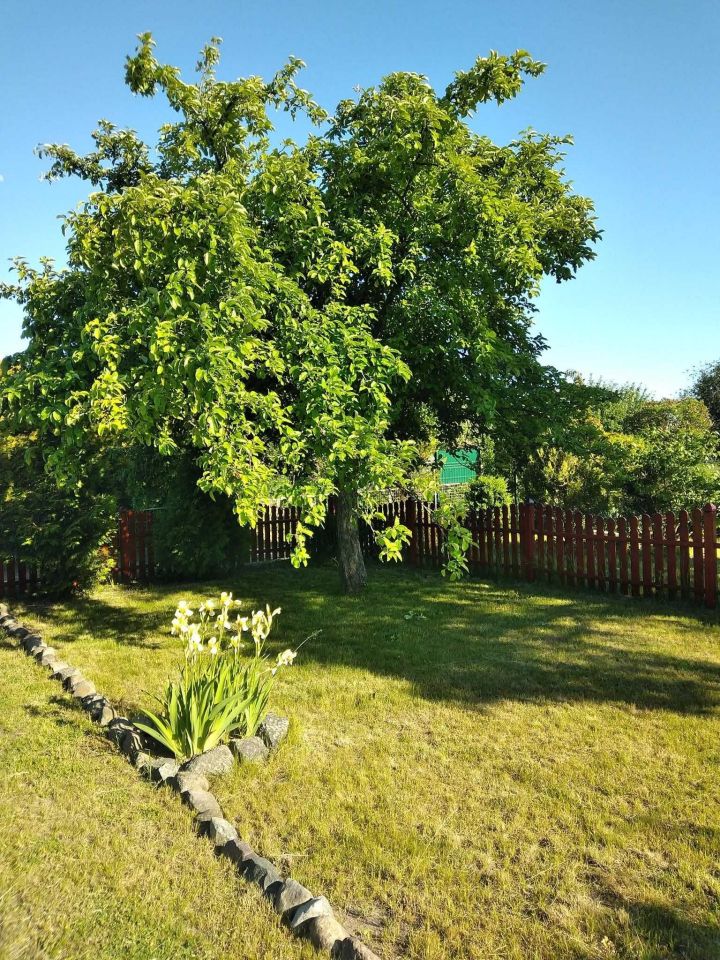 Działka rod Grodzisk Wielkopolski