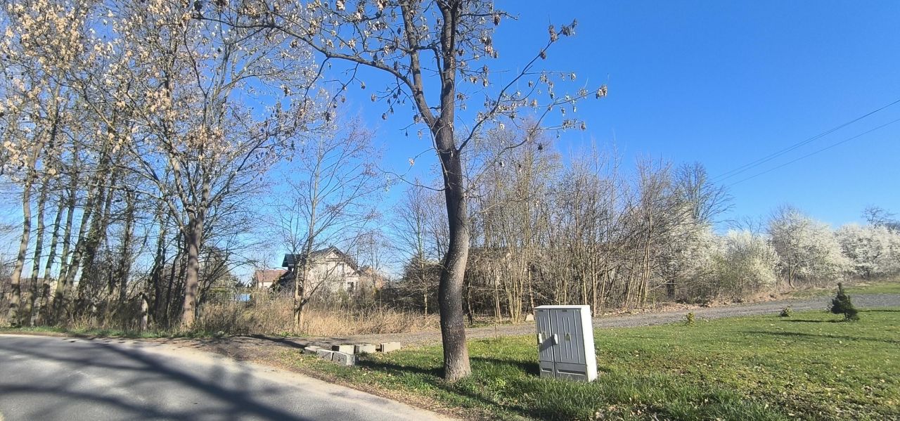 Działka rolno-budowlana Żarki Średnie. Zdjęcie 2