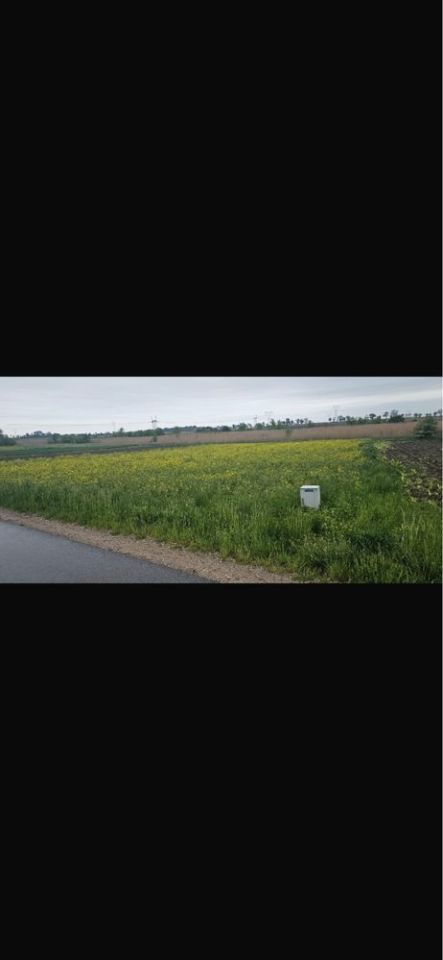 Działka rolno-budowlana Mikołajew. Zdjęcie 1