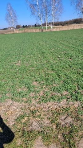 Działka budowlana Nowe Zawady, zawady. Zdjęcie 1