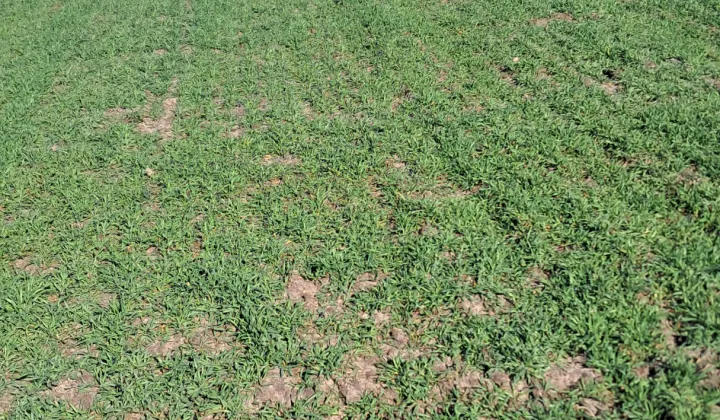 Działka budowlana Nowe Zawady