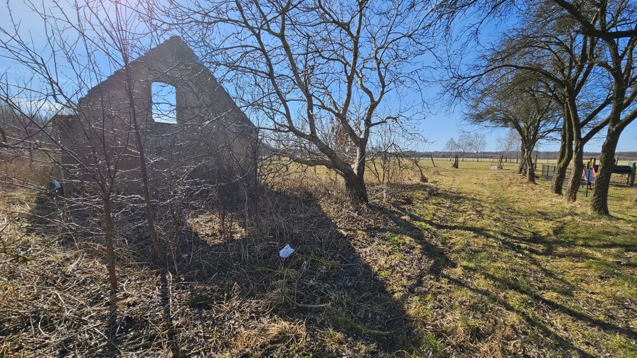Działka rolno-budowlana Drozdowo. Zdjęcie 5