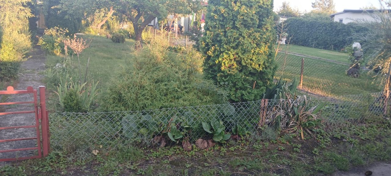 Działka rod Inowrocław, Szosa Bydgoska. Zdjęcie 4