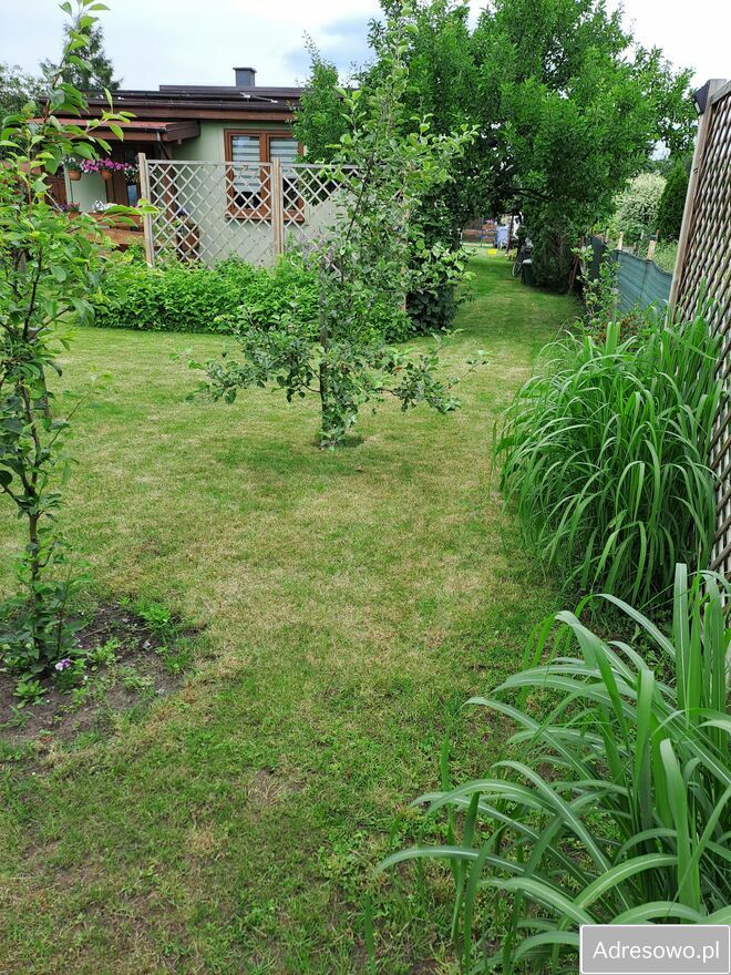 Działka rod Poznań Wilda. Zdjęcie 14