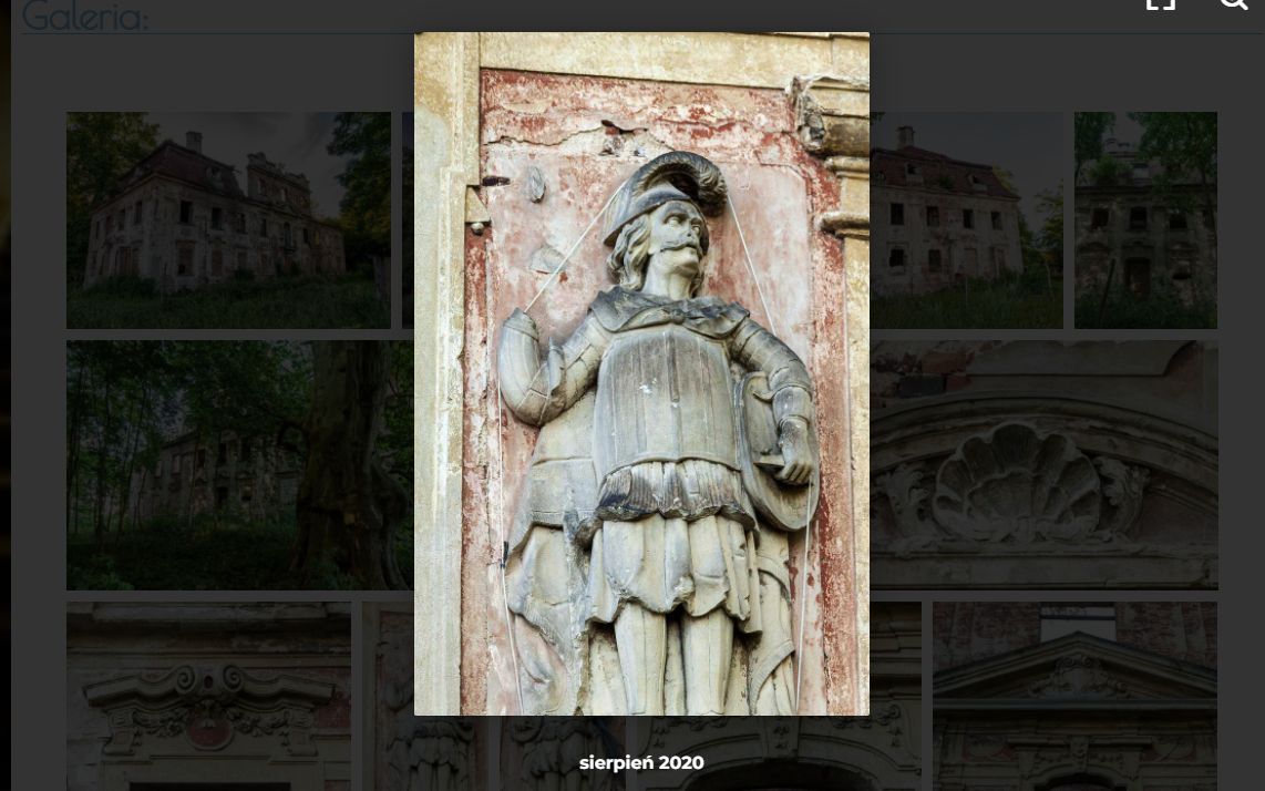 Nieruchomość komercyjna Parchów. Zdjęcie 5