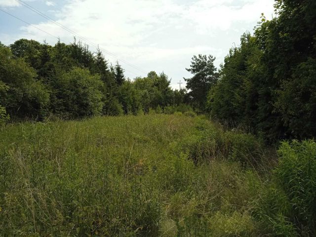 Działka budowlana Obrzycko, ul. Zielona. Zdjęcie 1