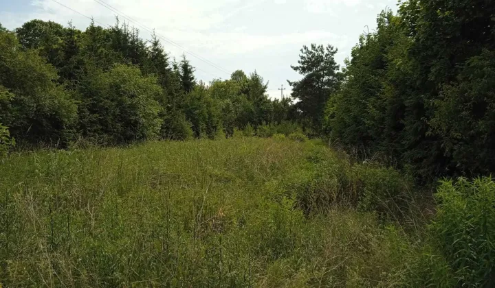 Działka budowlana Obrzycko, ul. Zielona