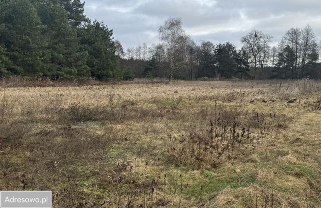 Działka rolno-budowlana Zarośle Cienkie. Zdjęcie 1