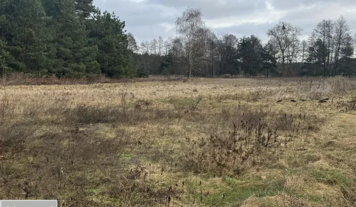 Działka rolno-budowlana Zarośle Cienkie