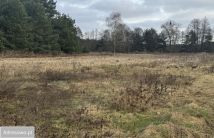 Działka rolno-budowlana Zarośle Cienkie