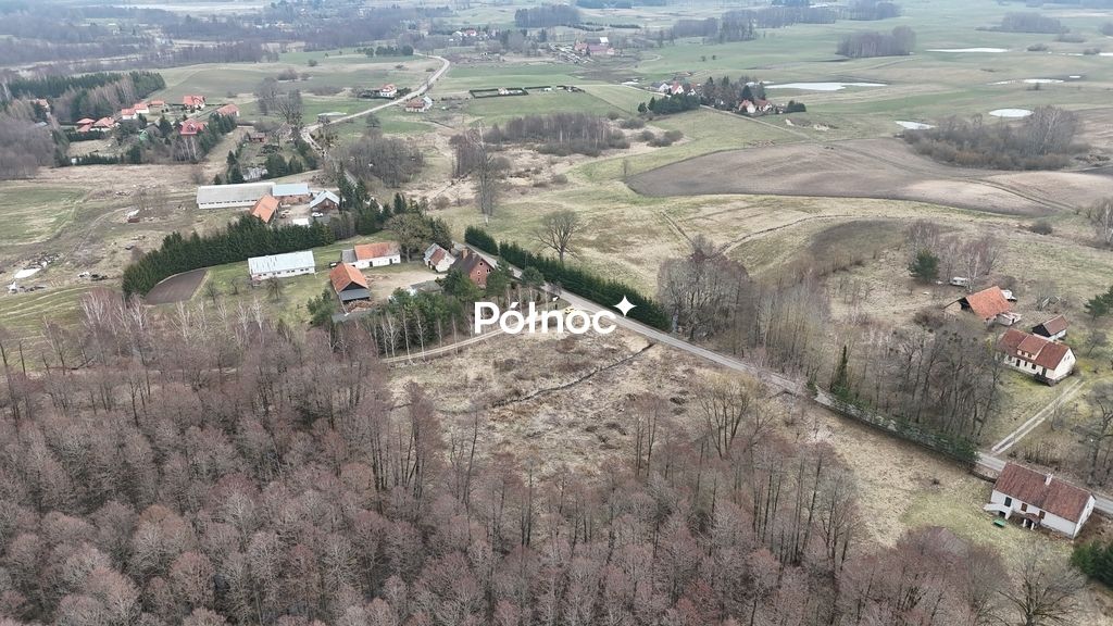 Działka rolna Rogojny. Zdjęcie 6
