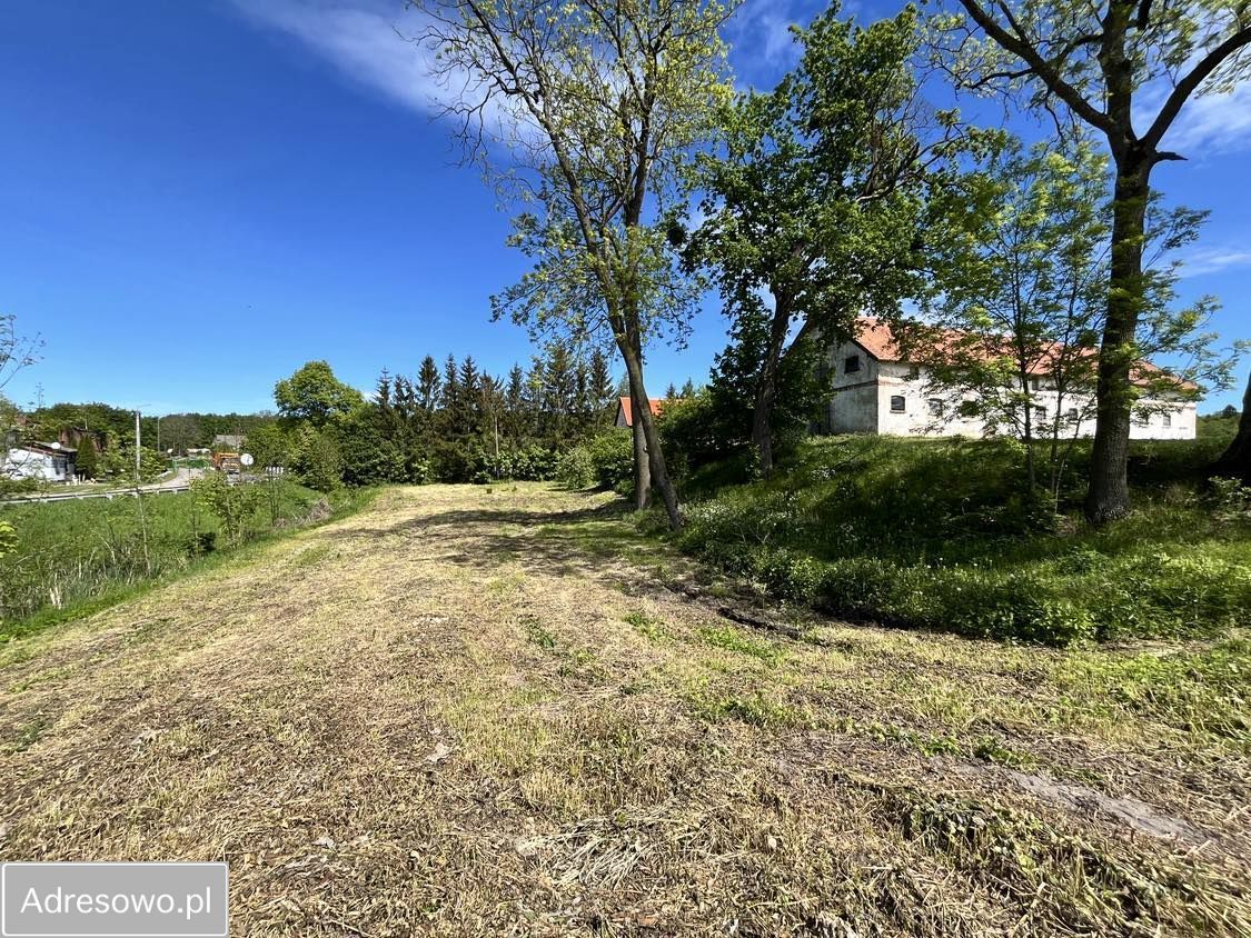 Nieruchomość komercyjna Pomnik. Zdjęcie 4